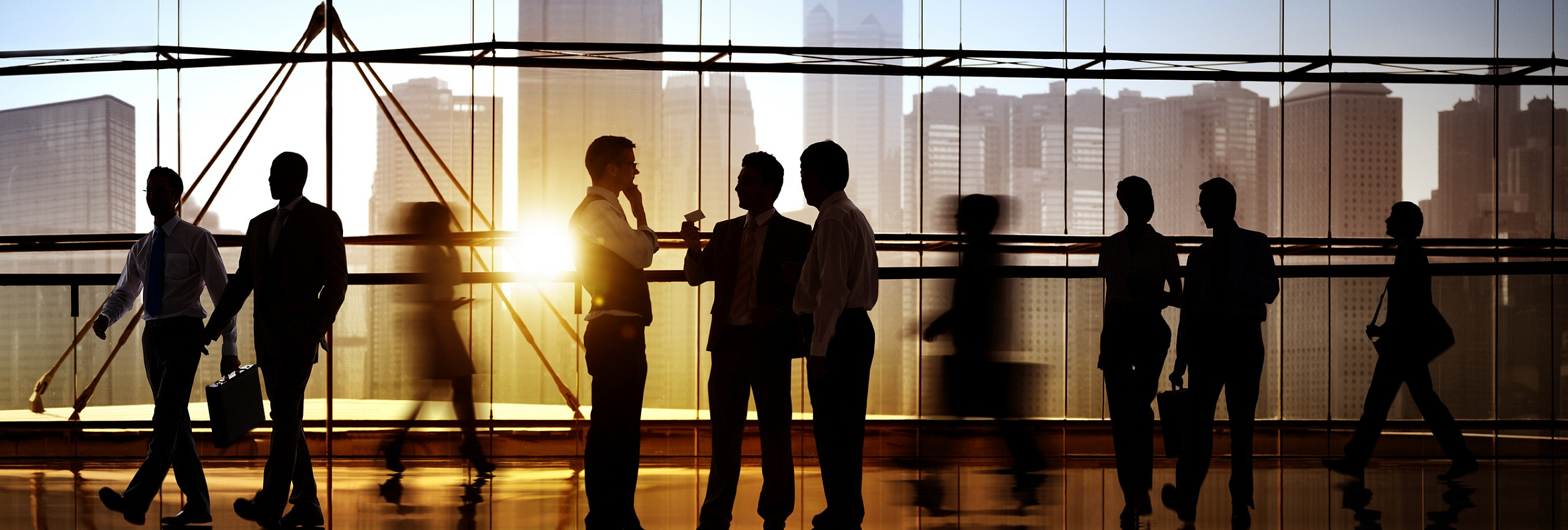 GDC Services Joins the British-Serbian Chamber of Commerce